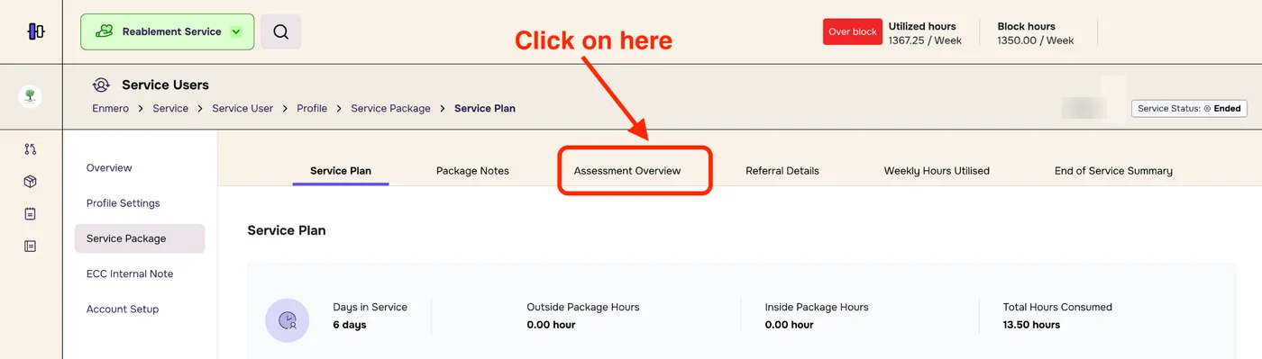 Service package with the Assessment Overview tab highlighted